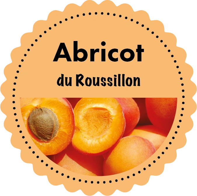 Sorbet Abricot