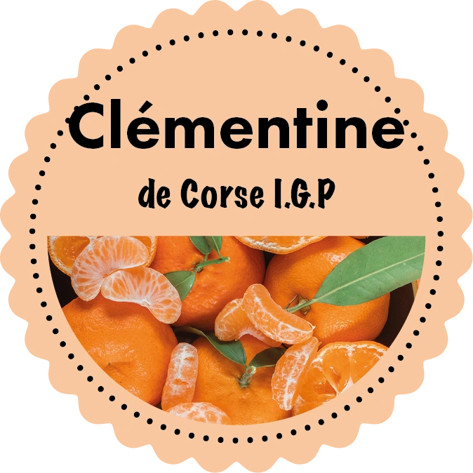 Sorbet Clémentine