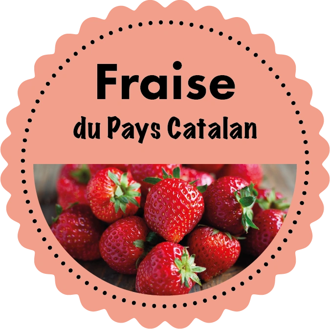 Sorbet Fraise