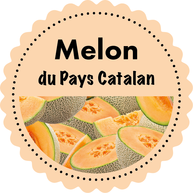 Sorbet melon
